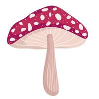 mushroom icon isolated vector