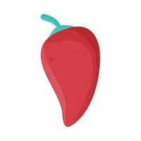 chili pepper icon vector