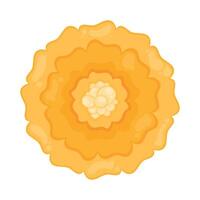 yellow flower garden vector