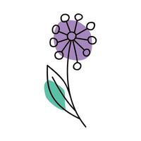 flower purple color one line vector