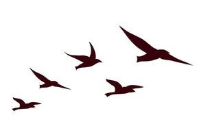 birds flying silhouettes vector