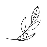 branch with leafs line art vector