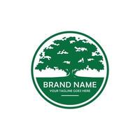 Oak tree logo design vector