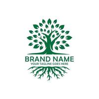 Oak tree logo design vector