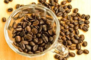 coffee beans background texture photo