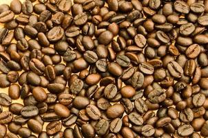 coffee beans background texture photo