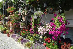 beautiful flowers in pots grow and hang. landscape design photo