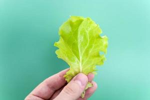 A leaf of lettuce in a man's hand on a green background. photo