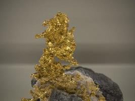 Natural golden gold nugget detail photo