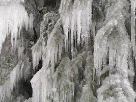 icicles frozen ice on tree branches photo