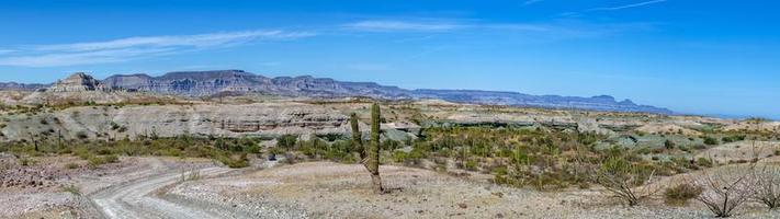 vista del paisaje del desierto de baja california y el mar de cortez foto