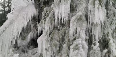 carámbanos hielo congelado en las ramas de los árboles foto