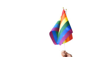 bandeiras de arco-íris isoladas, símbolo lgbt, nas mãos com traçados de recorte. png