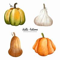 temporada de otoño o otoño, elementos de otoño de calabaza, ilustración de vector de acuarela