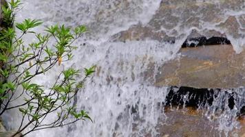 vattenfall långsam rörelse antal fot, strömmande vatten ström i en tropisk regnskog i thailand. video