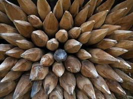 Pointed wood logs pattern photo