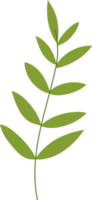 illustration de feuilles tropicales. élément de conception de plante verte png