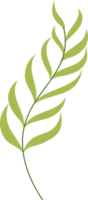 ilustración de hojas tropicales. elemento de diseño de planta de invernadero png