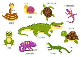 conjunto de plantilla de reptil animal ilustración plana de dibujos animados dibujados a mano con varios tipos de concepto de animales reptiles vector