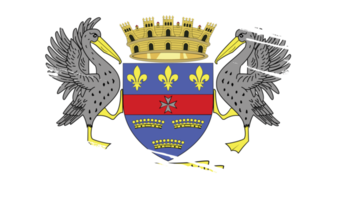 drapeau de saint barthélemy dans le style grunge png