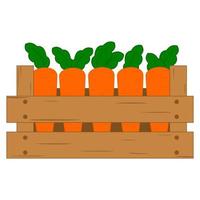 Carrots in a Box vector