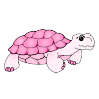 la tortue souriante png