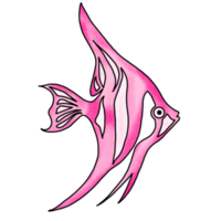 Pink Angle Fish png