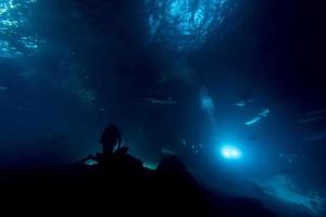 bucear en agua infestada de tiburones por la noche en el sitio de alimatha maldives foto