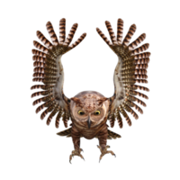 Owls 3d render png