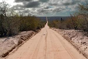 Baja California desert endless road landscape view photo