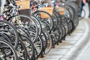 many bicycles in cambridge great britain photo