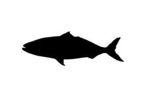 Salmon Fish Silhouette for Icon, Symbol, Logo, Pictogram, Apps, Website or Graphic Design Element. Vector Illustration