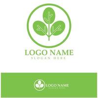 green moringa leaf logo, for herbal ingredients, moringa farming, health, medicine industry, beauty, therapy, concept design vector illustration icon template with a modern concept