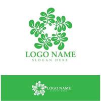 green moringa leaf logo, for herbal ingredients, moringa farming, health, medicine industry, beauty, therapy, concept design vector illustration icon template with a modern concept