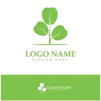 green moringa leaf logo, for herbal ingredients, moringa farming, health, medicine industry, beauty, therapy, concept design vector illustration icon template with a modern concept