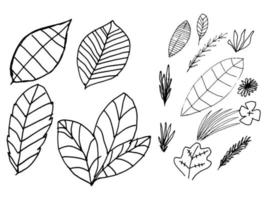 Abstract leaf doodle.  Hand drawn isolated vector illustration on white background