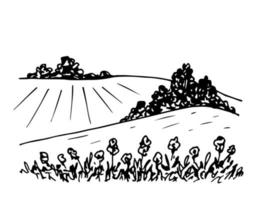Hand-drawn simple vector black and white drawing. Summer rural landscape, hills, meadow, flowers in the foreground, bushes and trees. For postcard prints, tourism, travel.