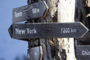 cartel de madera de distancia de nueva york en árbol muerto foto