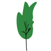 colorato albero elementi png