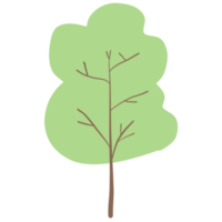 colorato albero elementi png