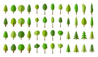 Set of  pattern Green Pine trees vector