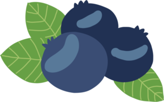 doodle frihand skiss ritning av blåbär frukt. png