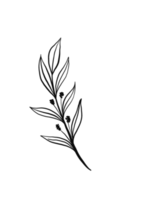 Wreath floral branch in hand drawn style png