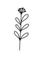 Wreath floral branch in hand drawn style png