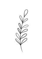 guirnalda rama floral en estilo dibujado a mano png