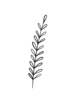 ramo floral de grinalda em estilo desenhado à mão png