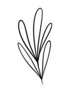 ramo floral de grinalda em estilo desenhado à mão png