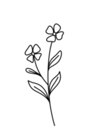 Wreath floral branch in hand drawn style png