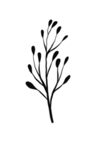 branche florale de couronne dans un style dessiné à la main png