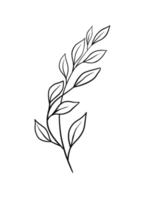 Wreath floral branch in hand drawn style png